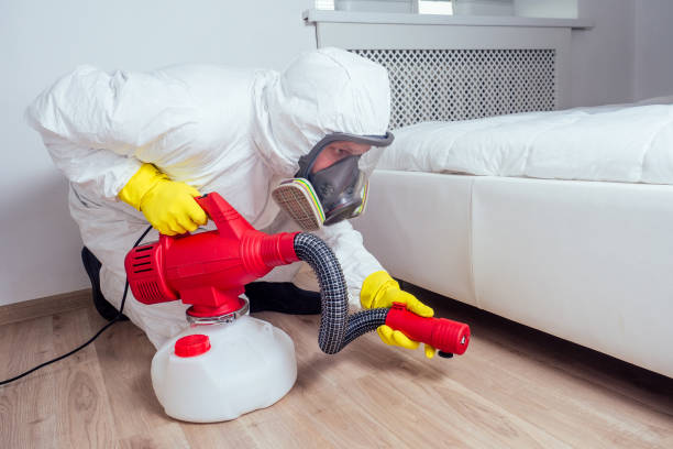 Best Local Pest Control Services  in Arlington Heights, PA