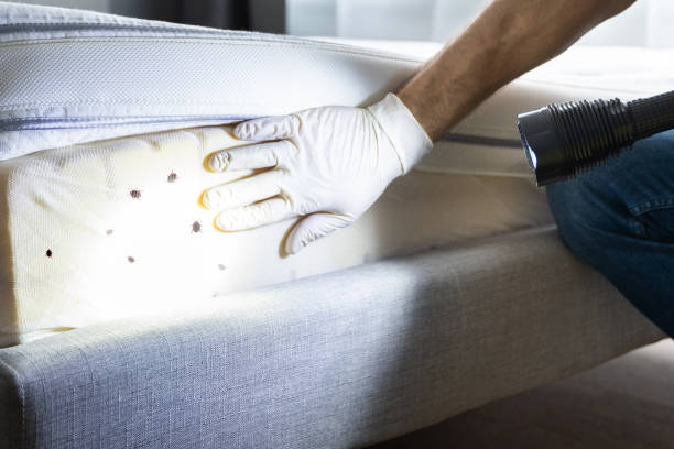 Best Pest Inspection Near Me  in Arlington Heights, PA