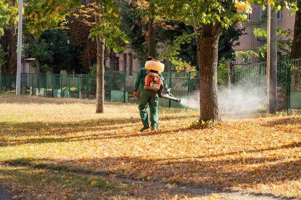 Pest Prevention Services in Arlington Heights, PA