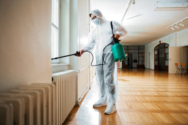 Flea Control Services in Arlington Heights, PA