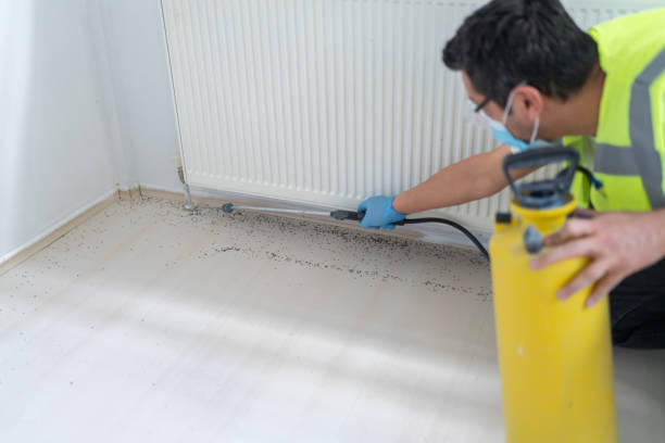 Best Best Pest Control Companies  in Arlington Heights, PA