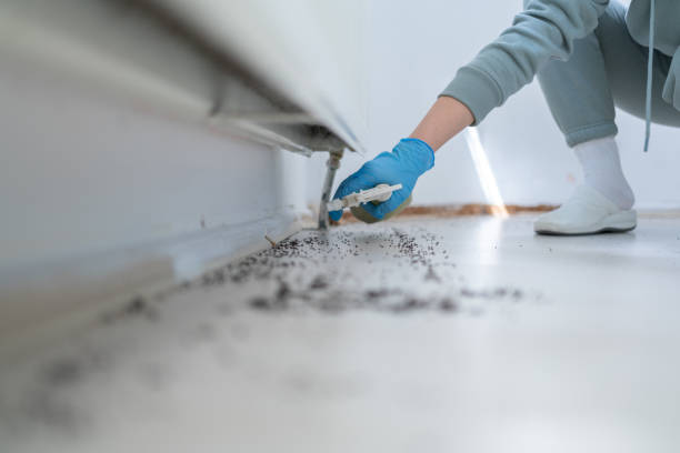 Best Emergency Pest Control  in Arlington Heights, PA
